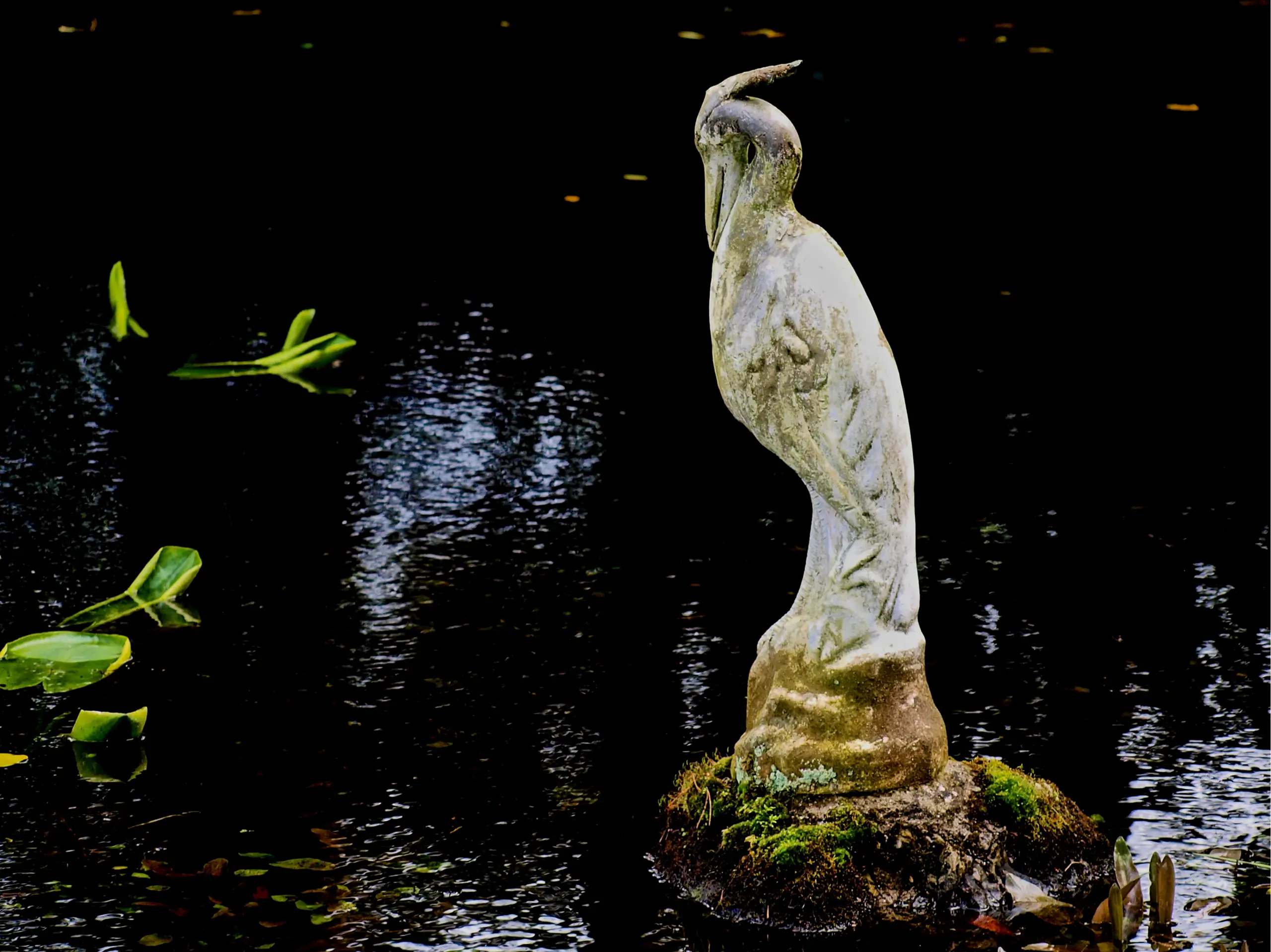 Arduaine garden heron