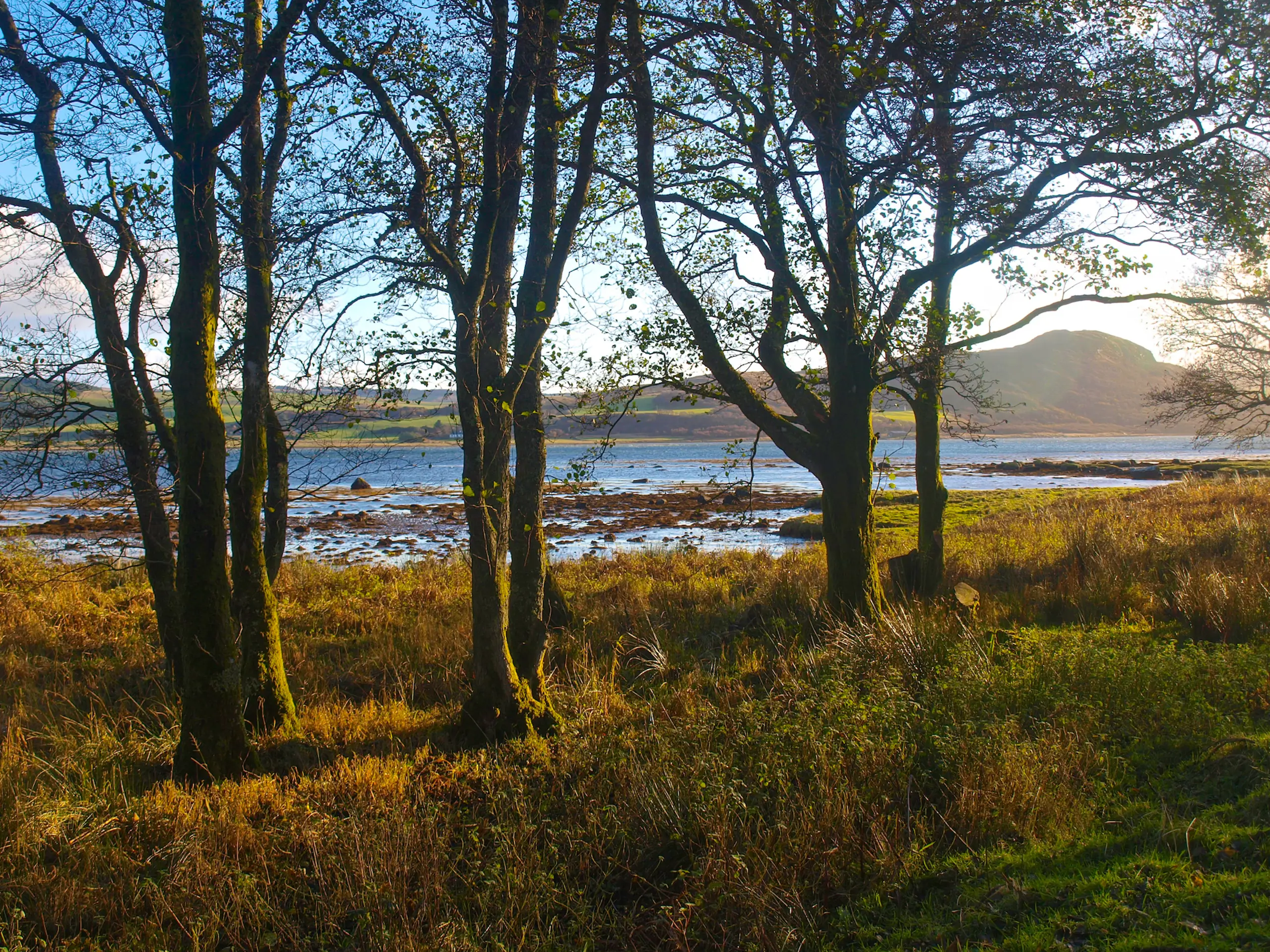 On the shore of West Loch Tarbert