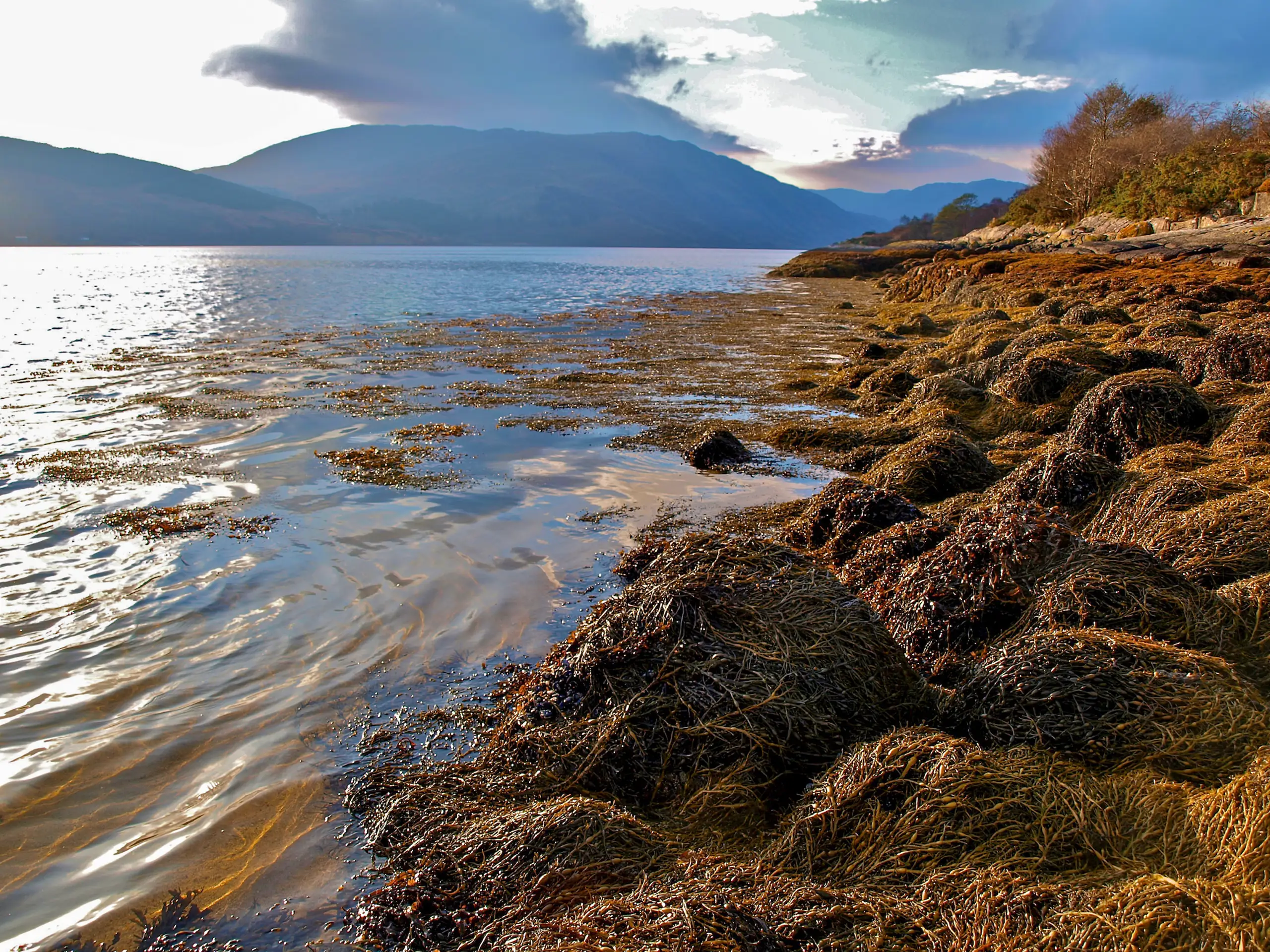 View down the loch