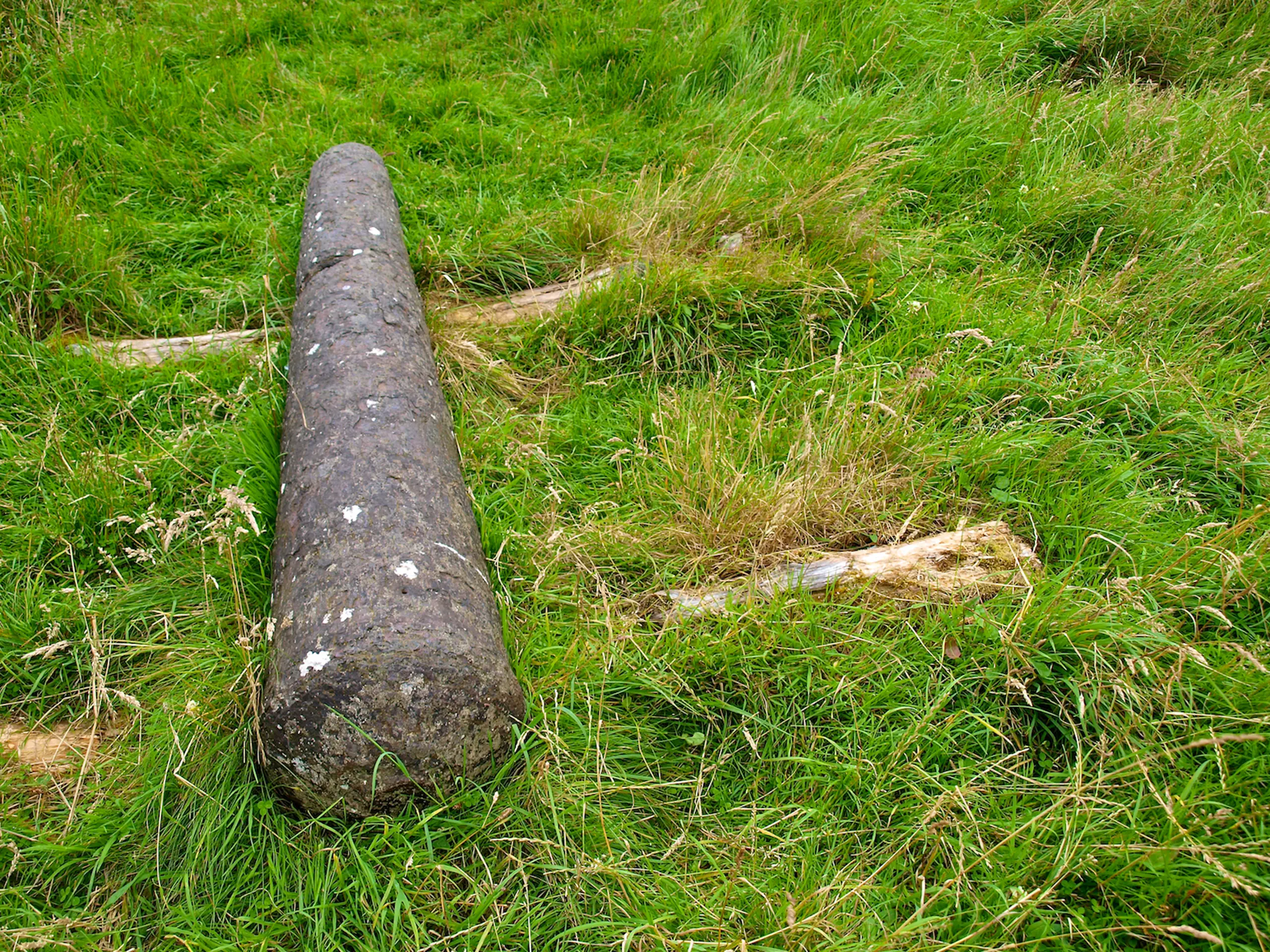 An ancient canon left in the grass, before the castle was restored