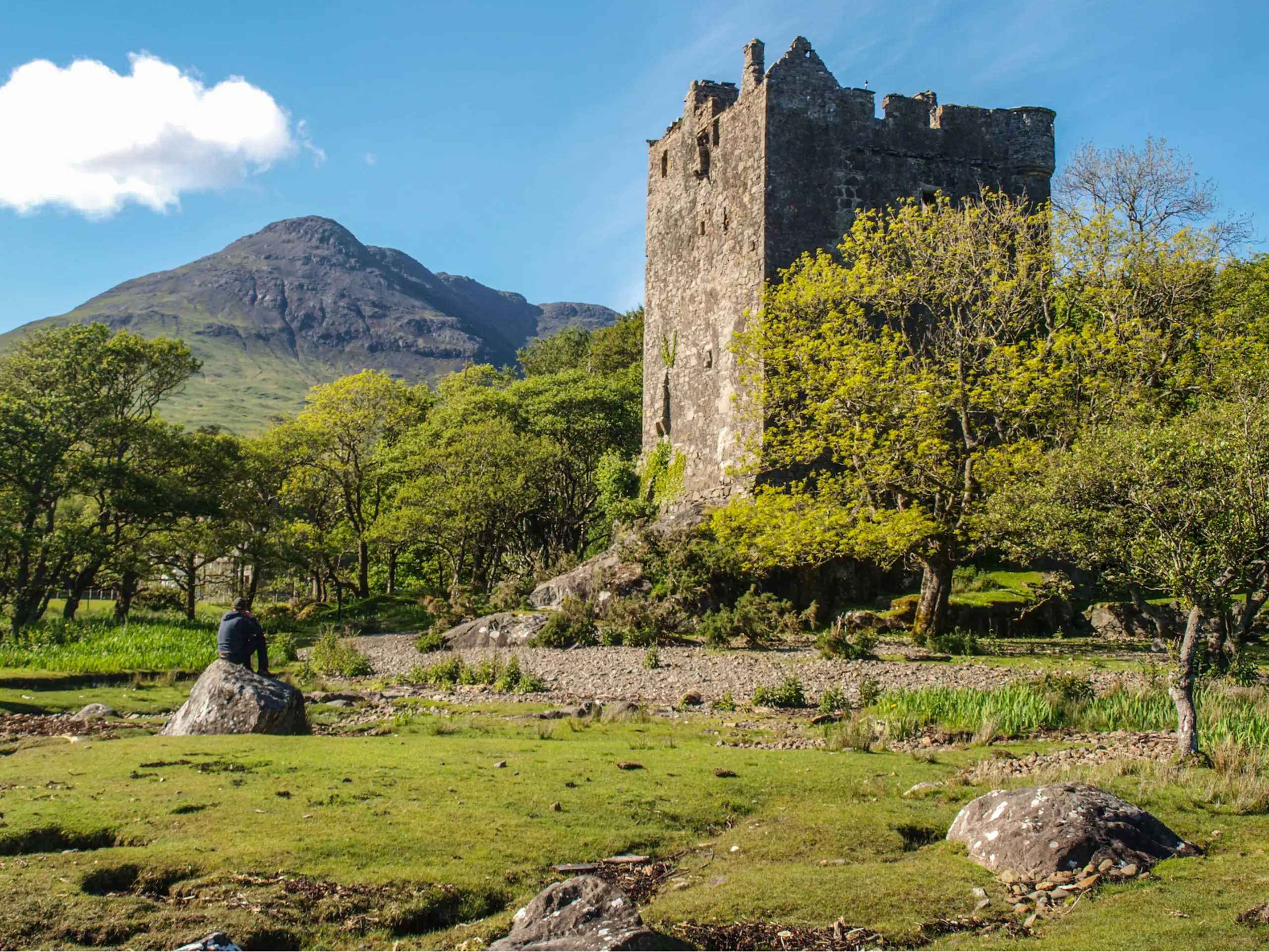 Castle Moy