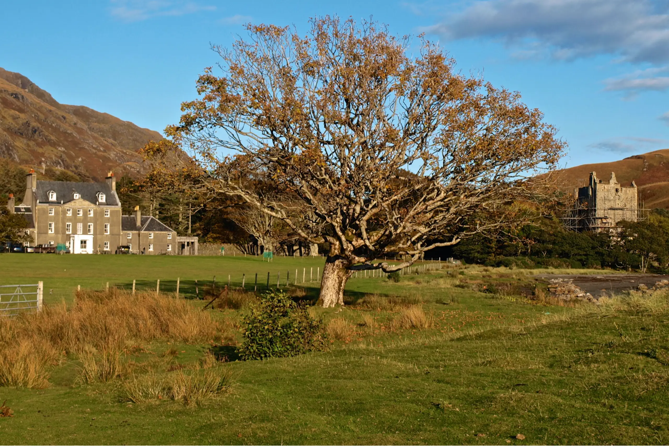 Loch Buie House and Castle Moy