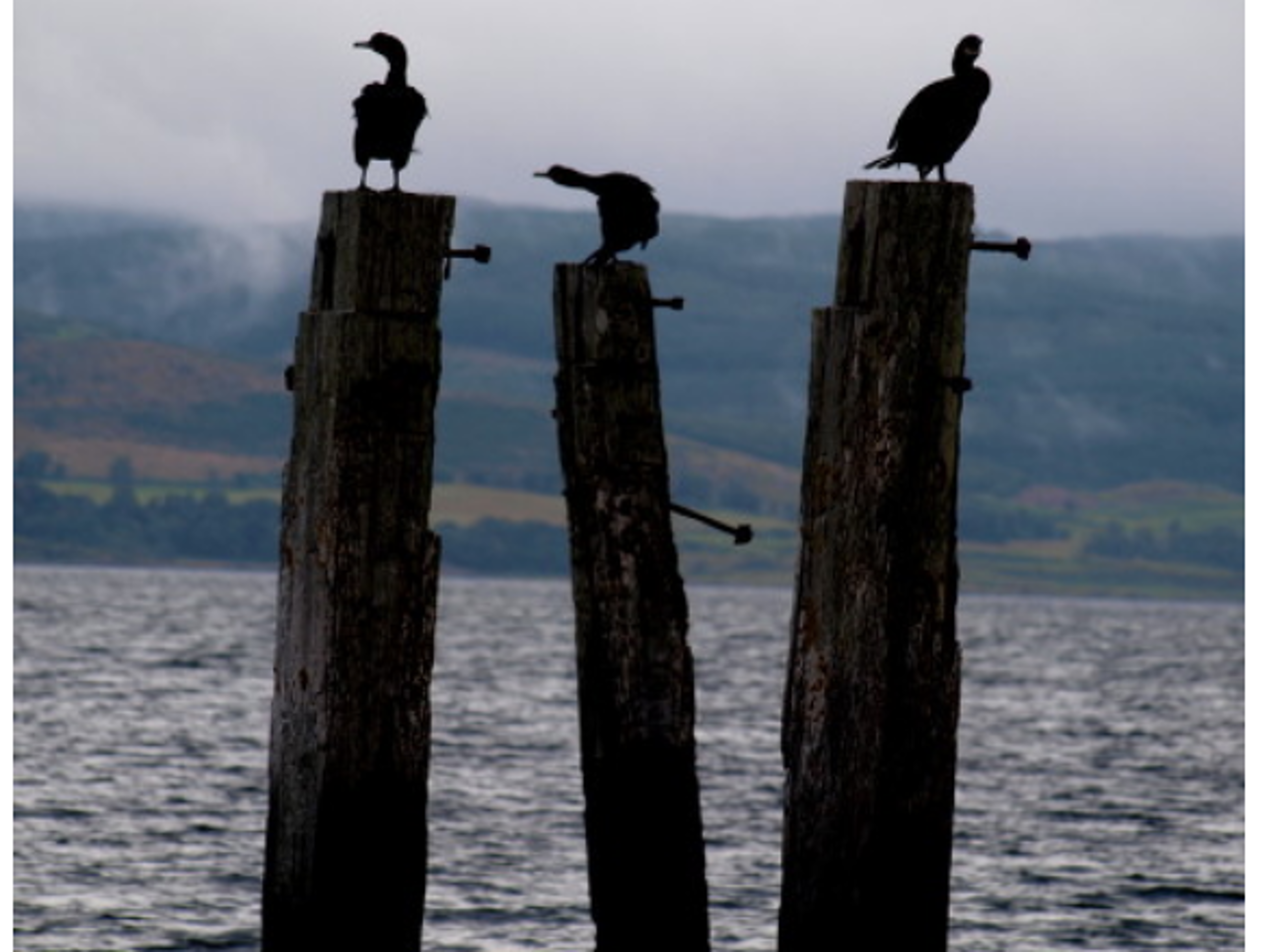 The old broken down pier