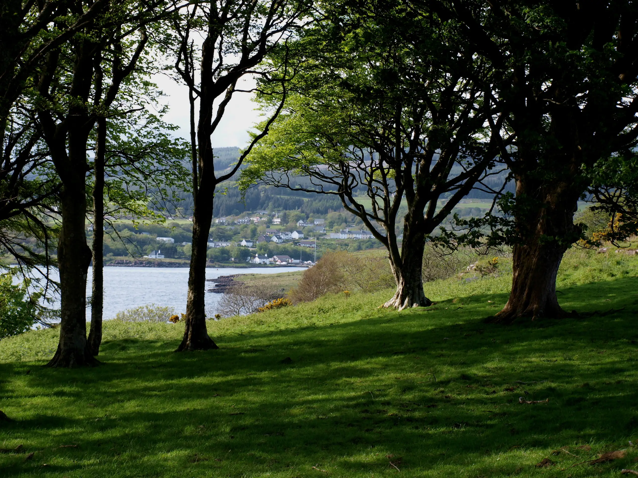 Walking through the woods to the entrance of Loch Aline