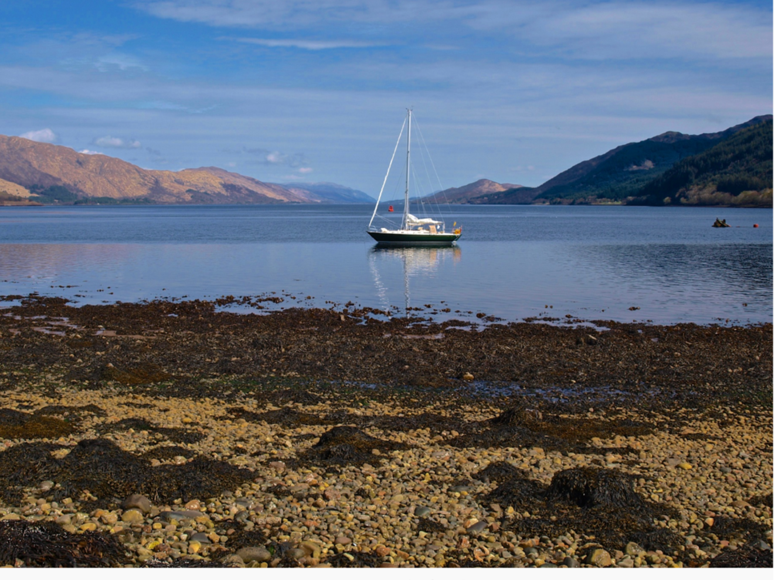 Looking up the loch