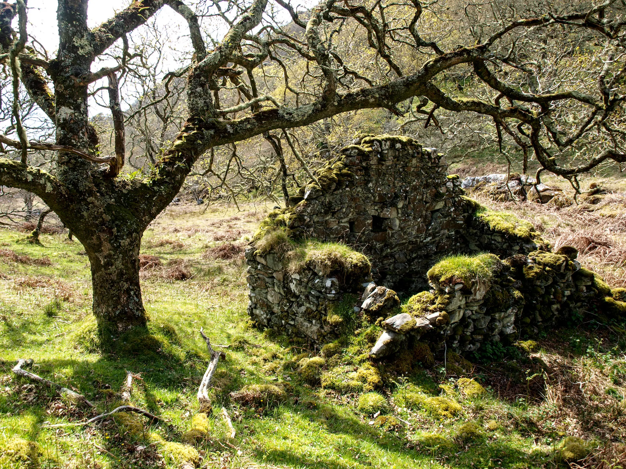 Someone once lived here, maybe they left for the New World