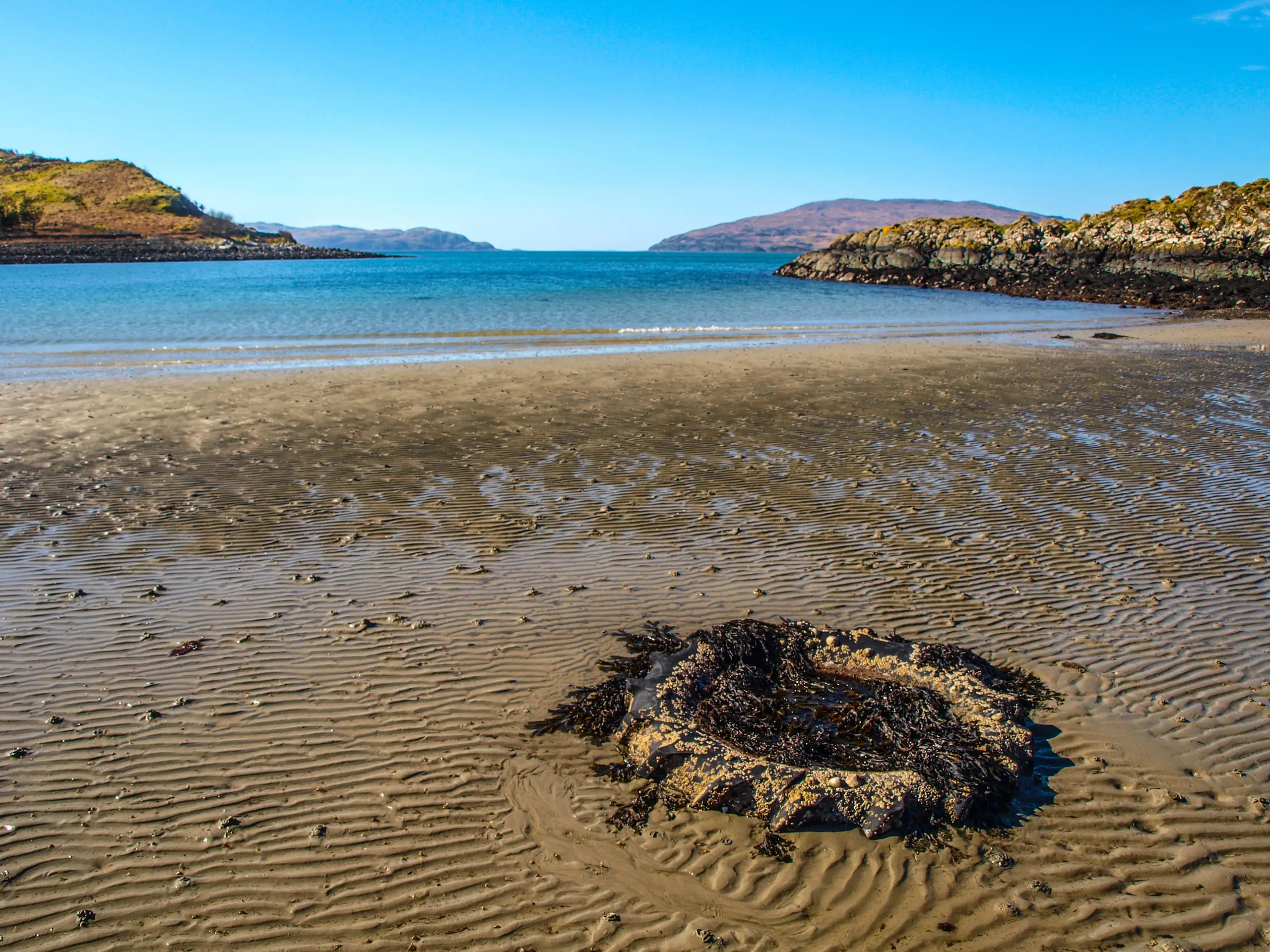 A muddy beach of sorts