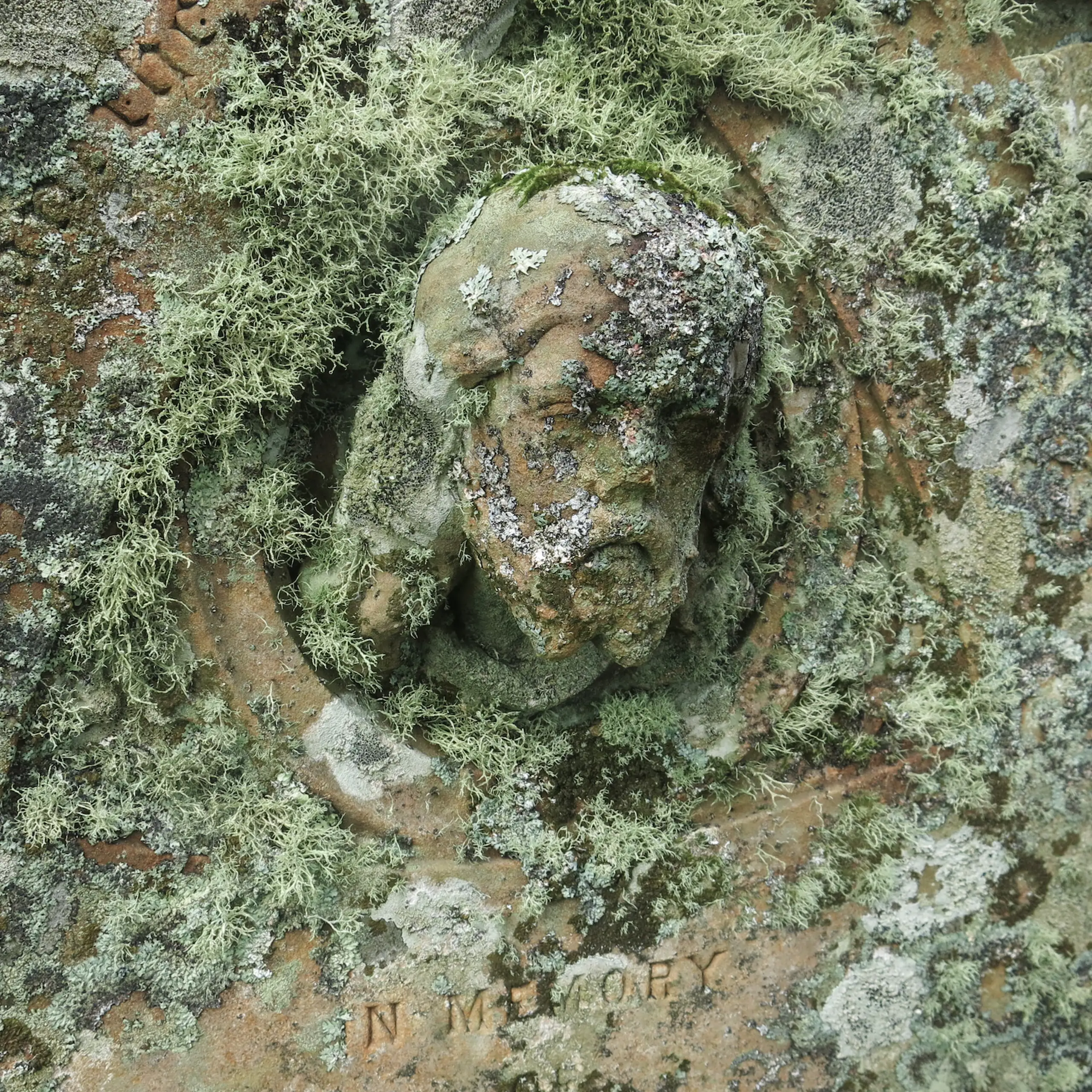 A moss-encrusted gravestone