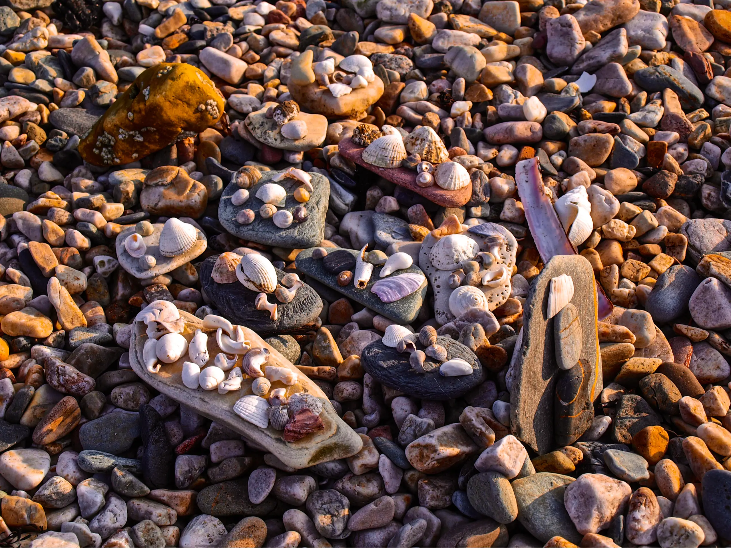 So many stones and shells on the stoney beach