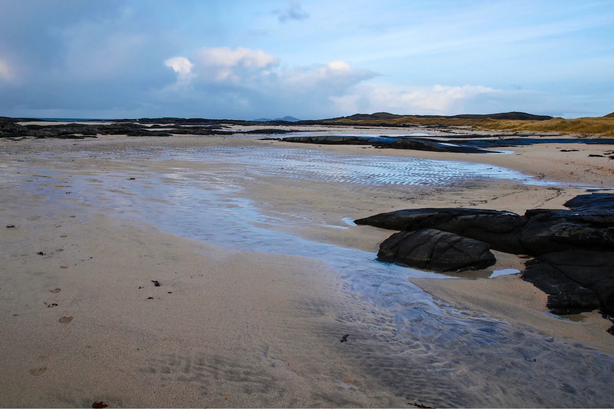 The beach