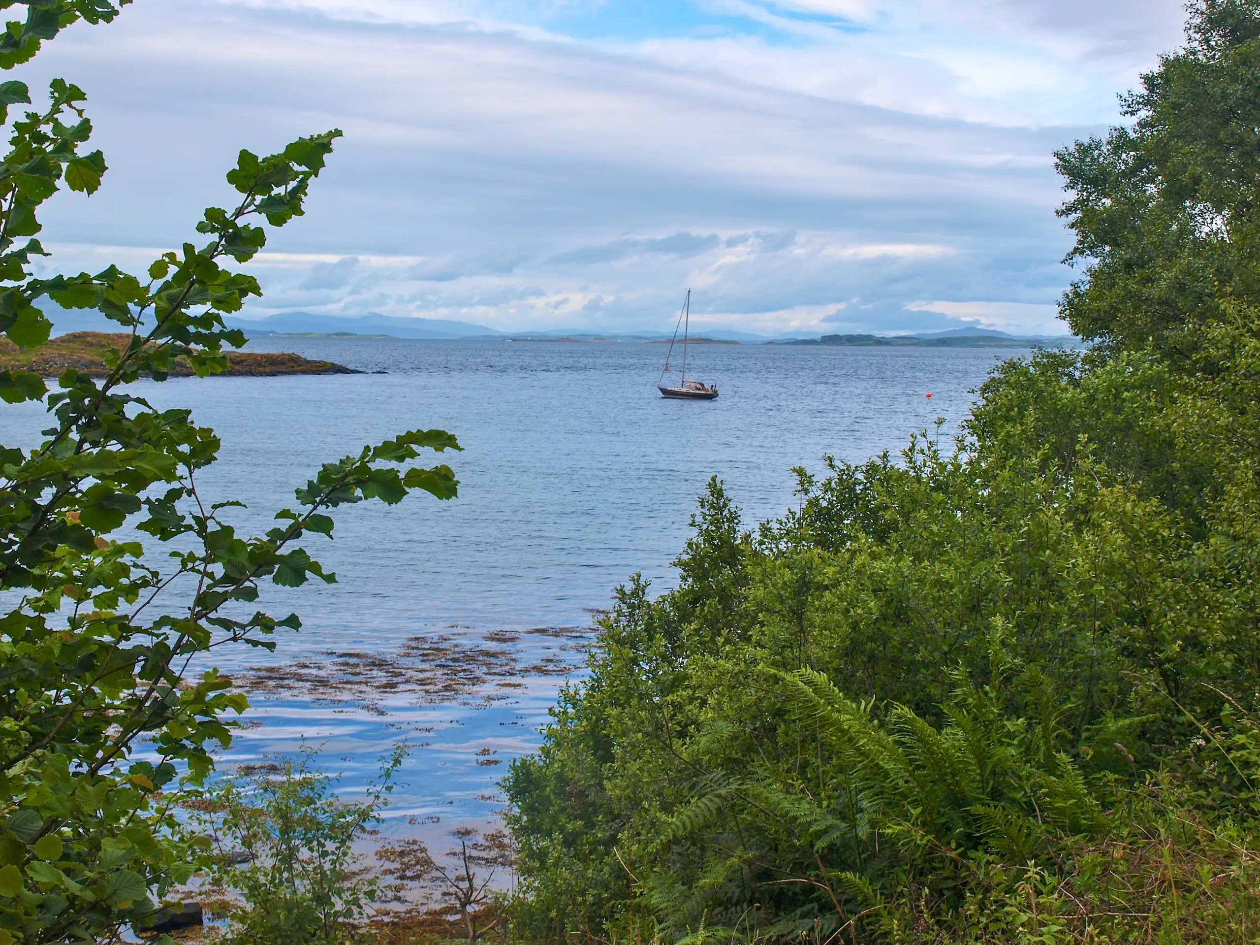 Looking north over the bay