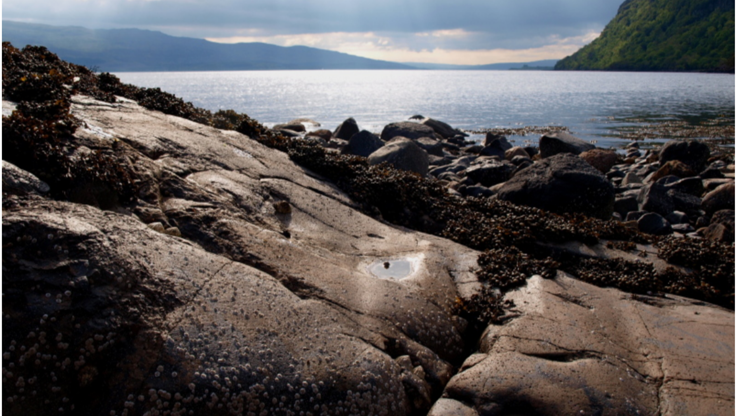 Looking up the Sound of Mull