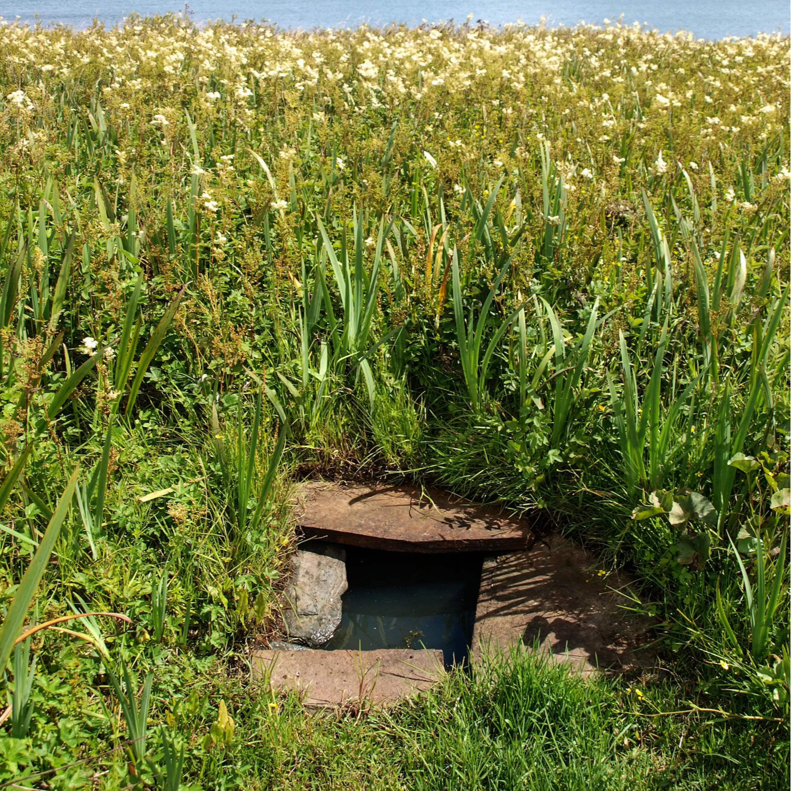 The well near the chapel