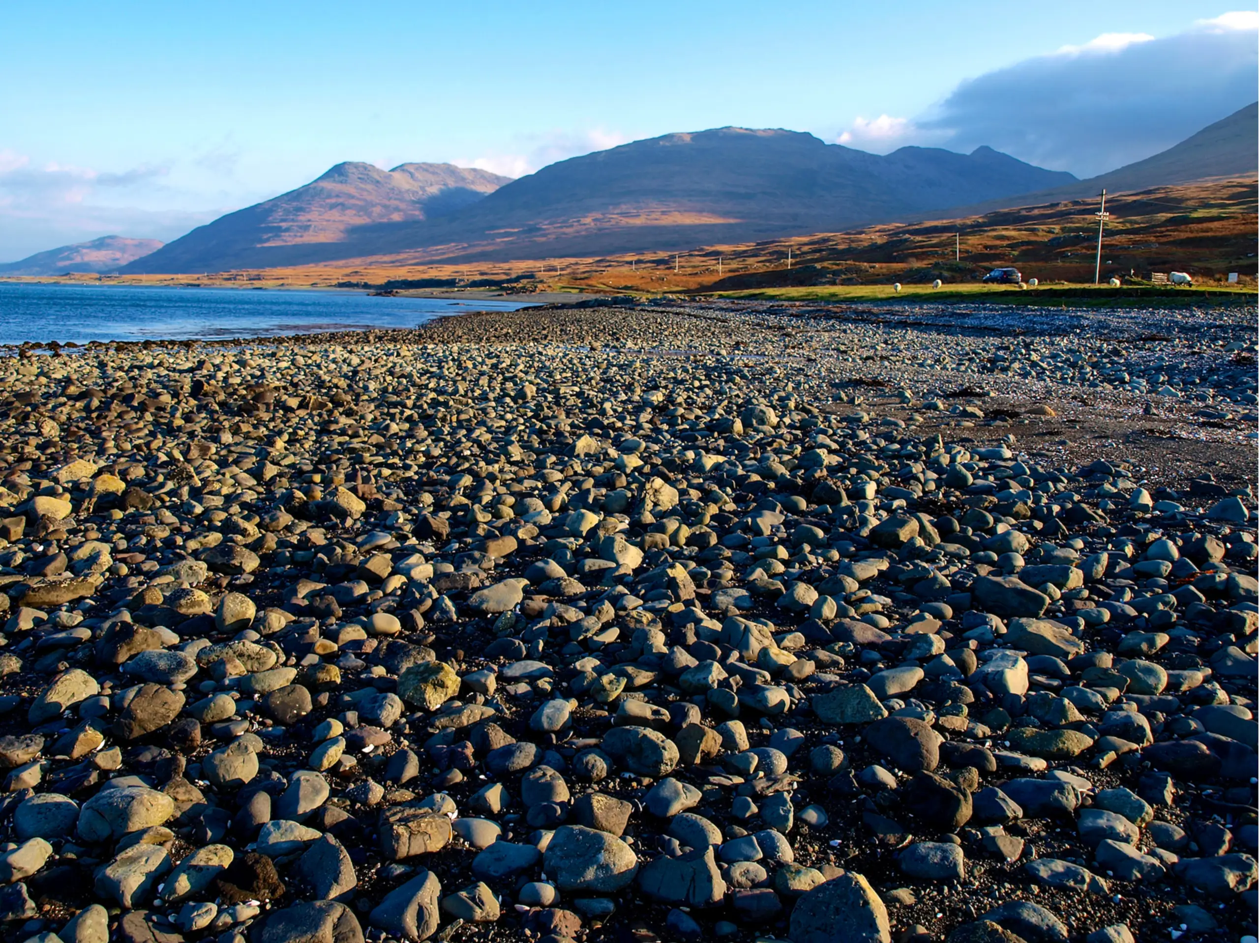 Looking up the loch