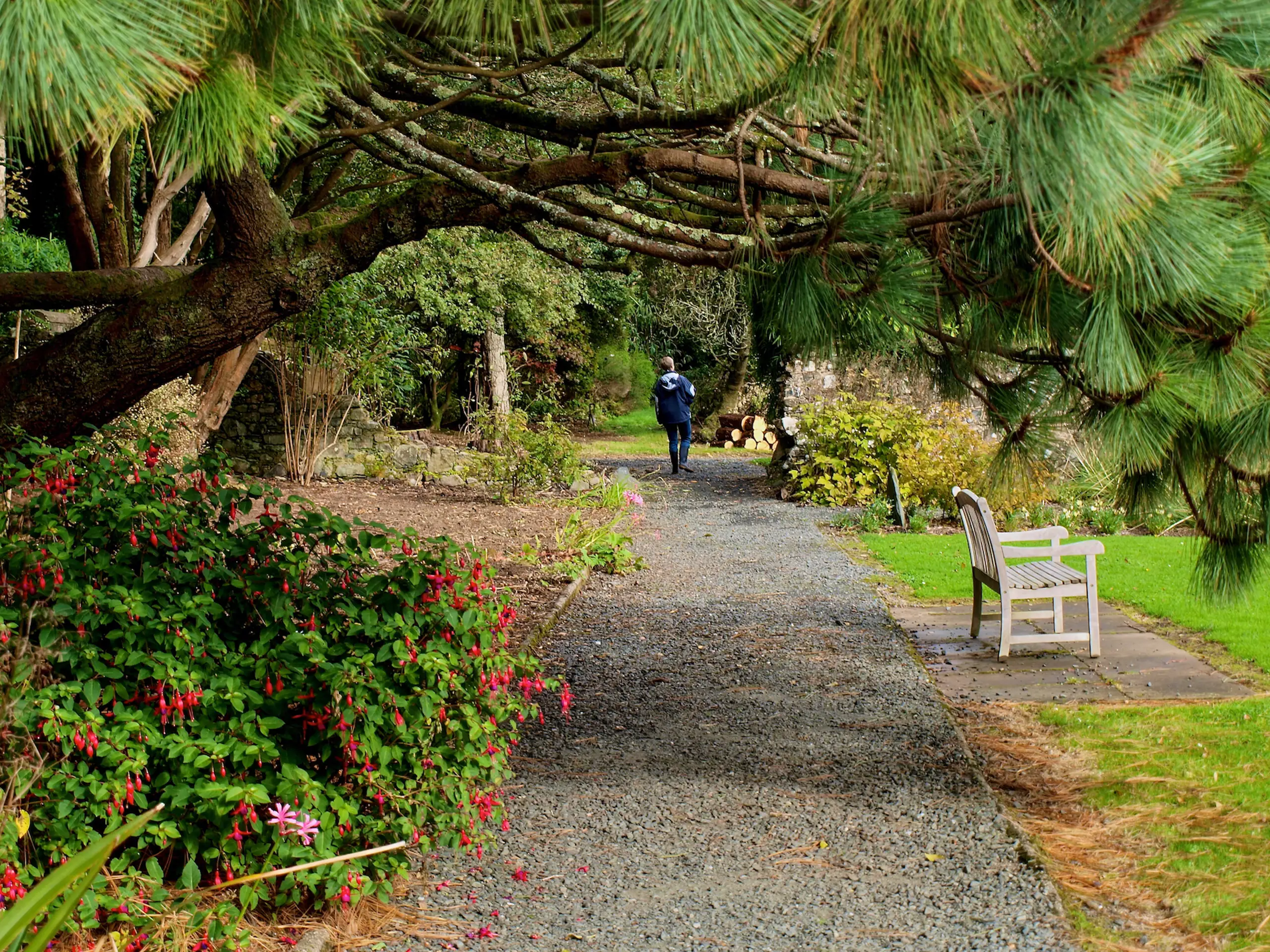 Achamore Gardens