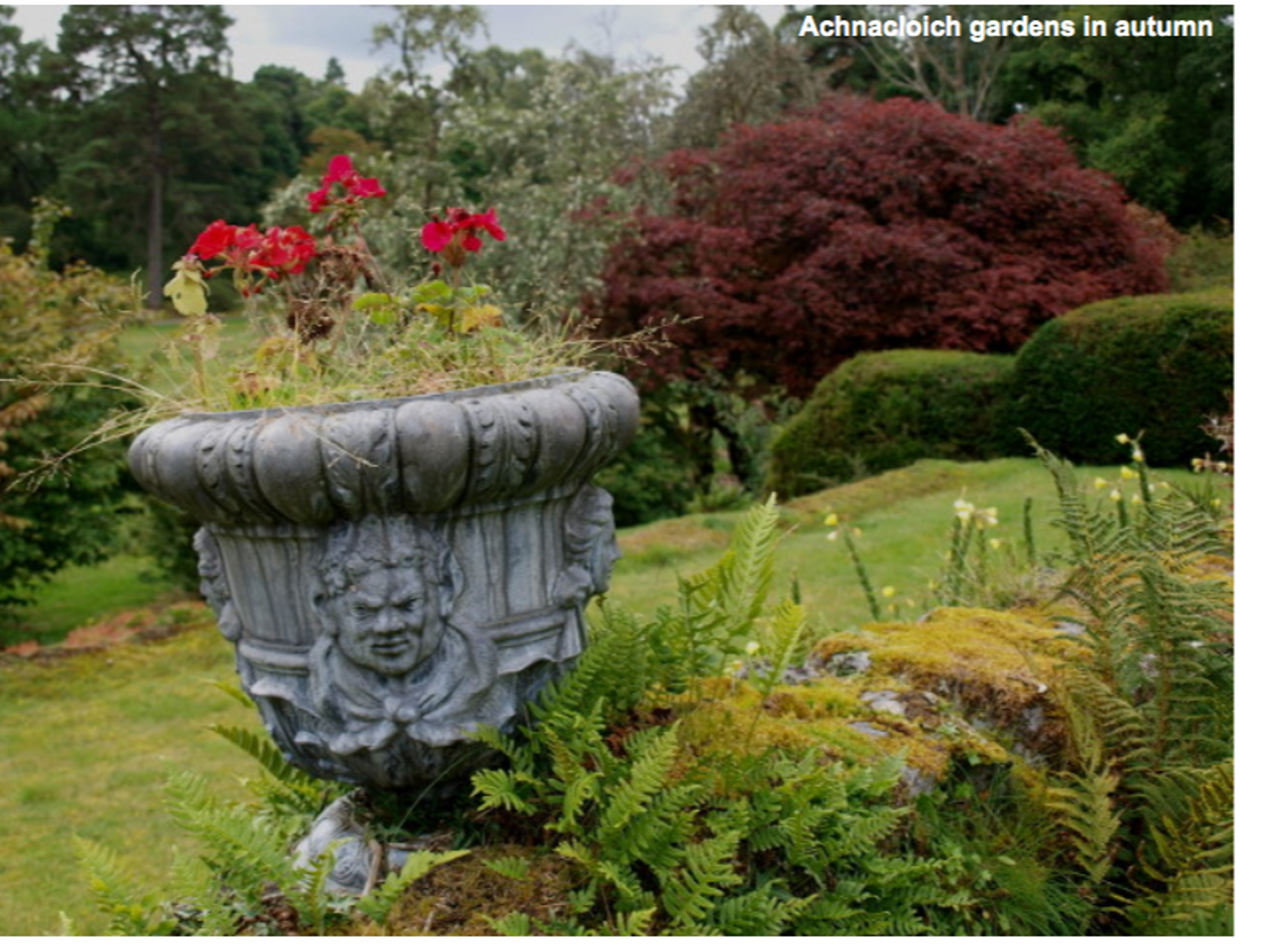 A snippet of the gardens