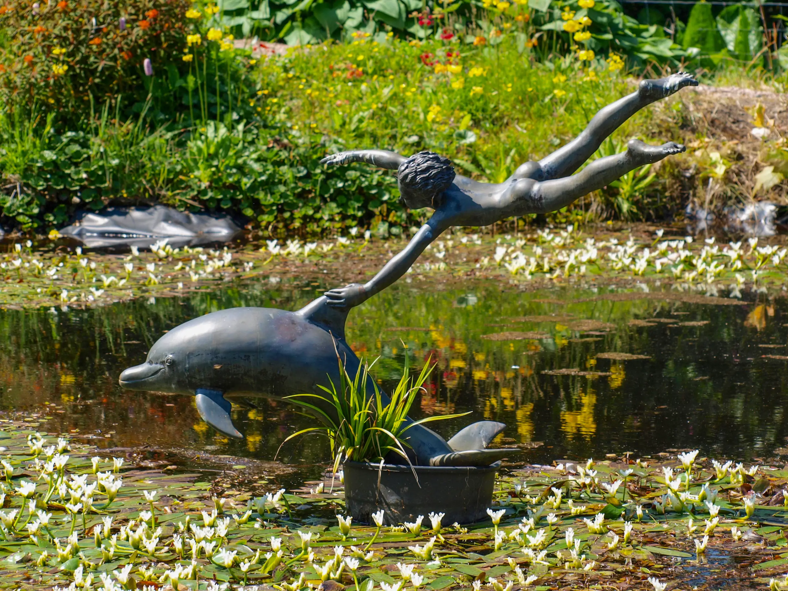 Boy and dolphin yet again