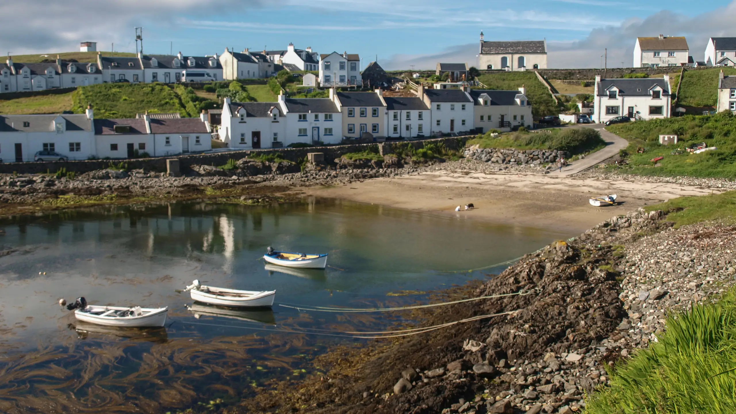 The harbour