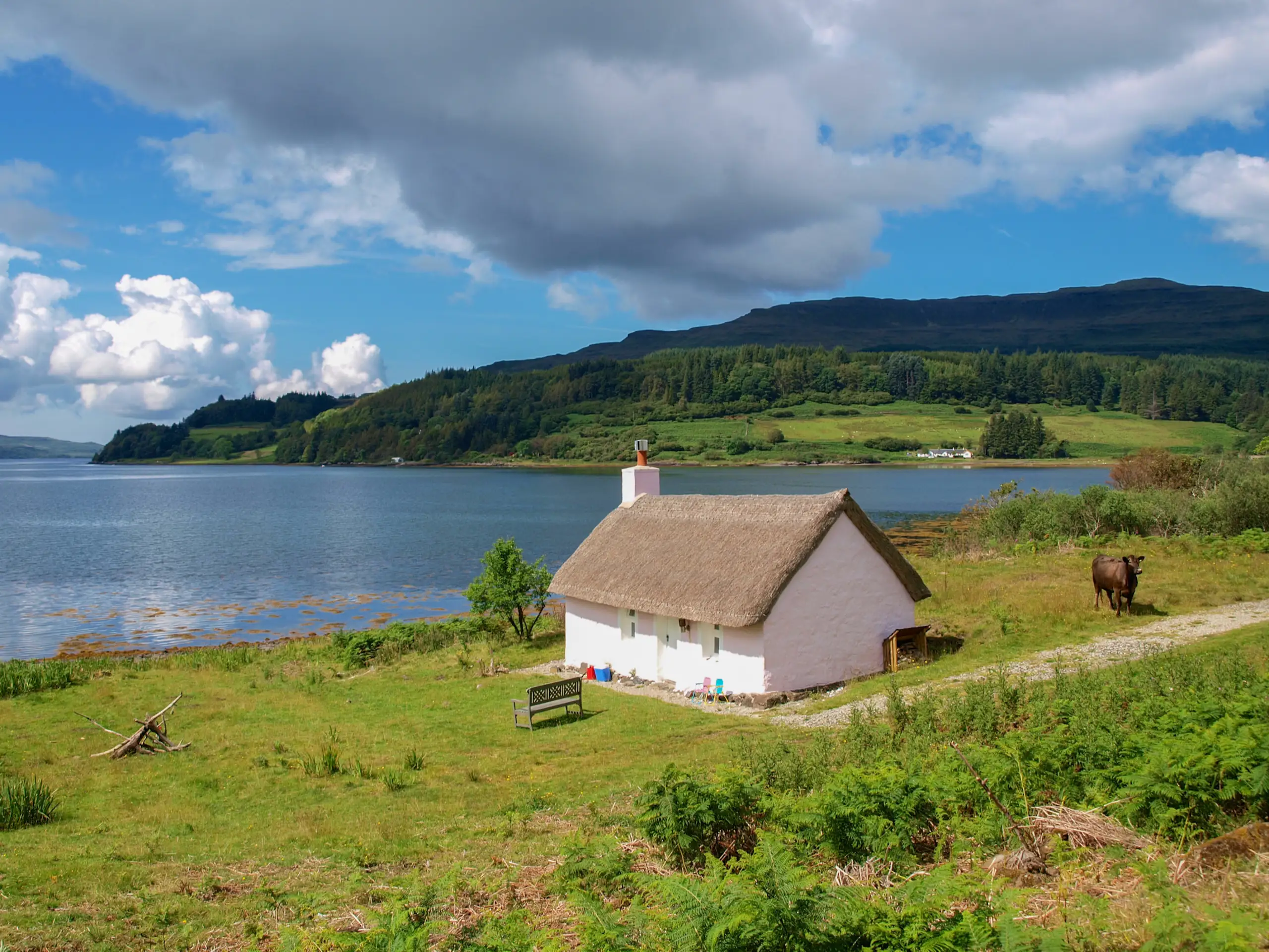 A cottage by the shore