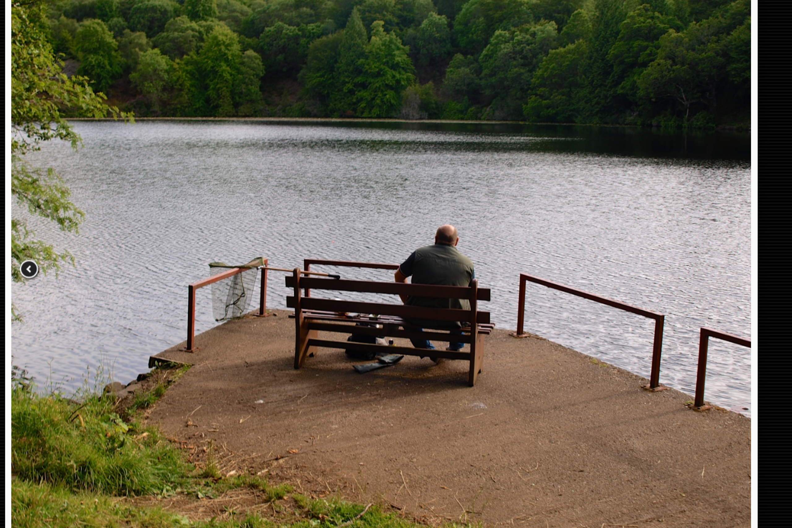 Contemplating the fish