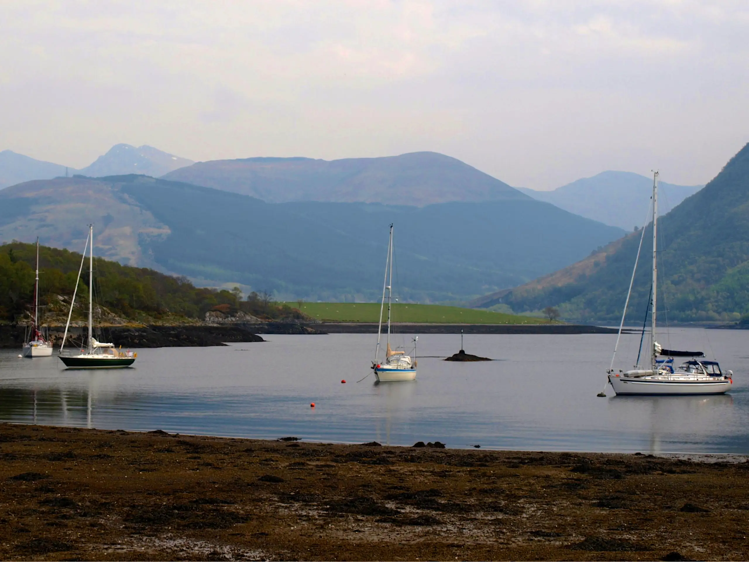 Looking over the moorings