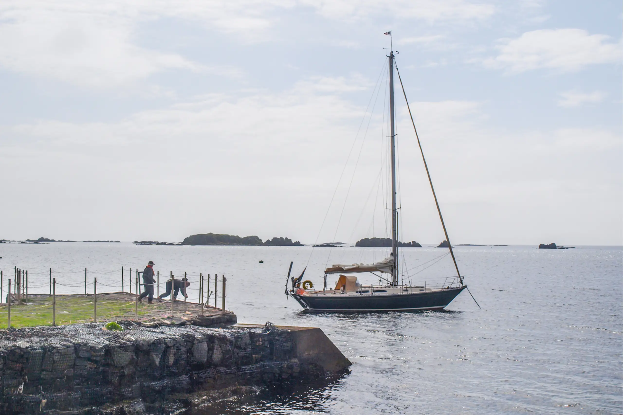 Pickle anchored off the distillery pier