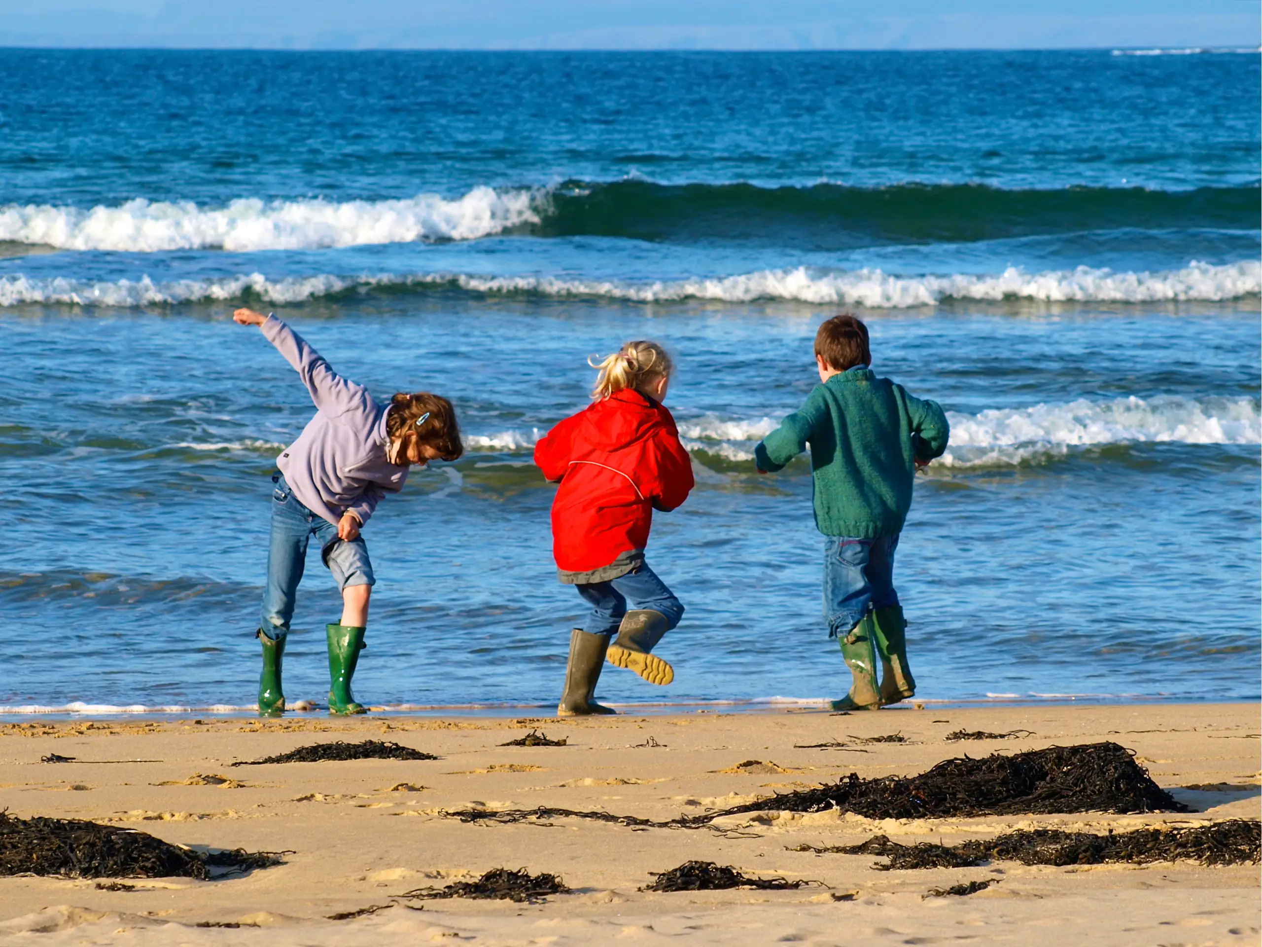 Children frolicking on the beach
