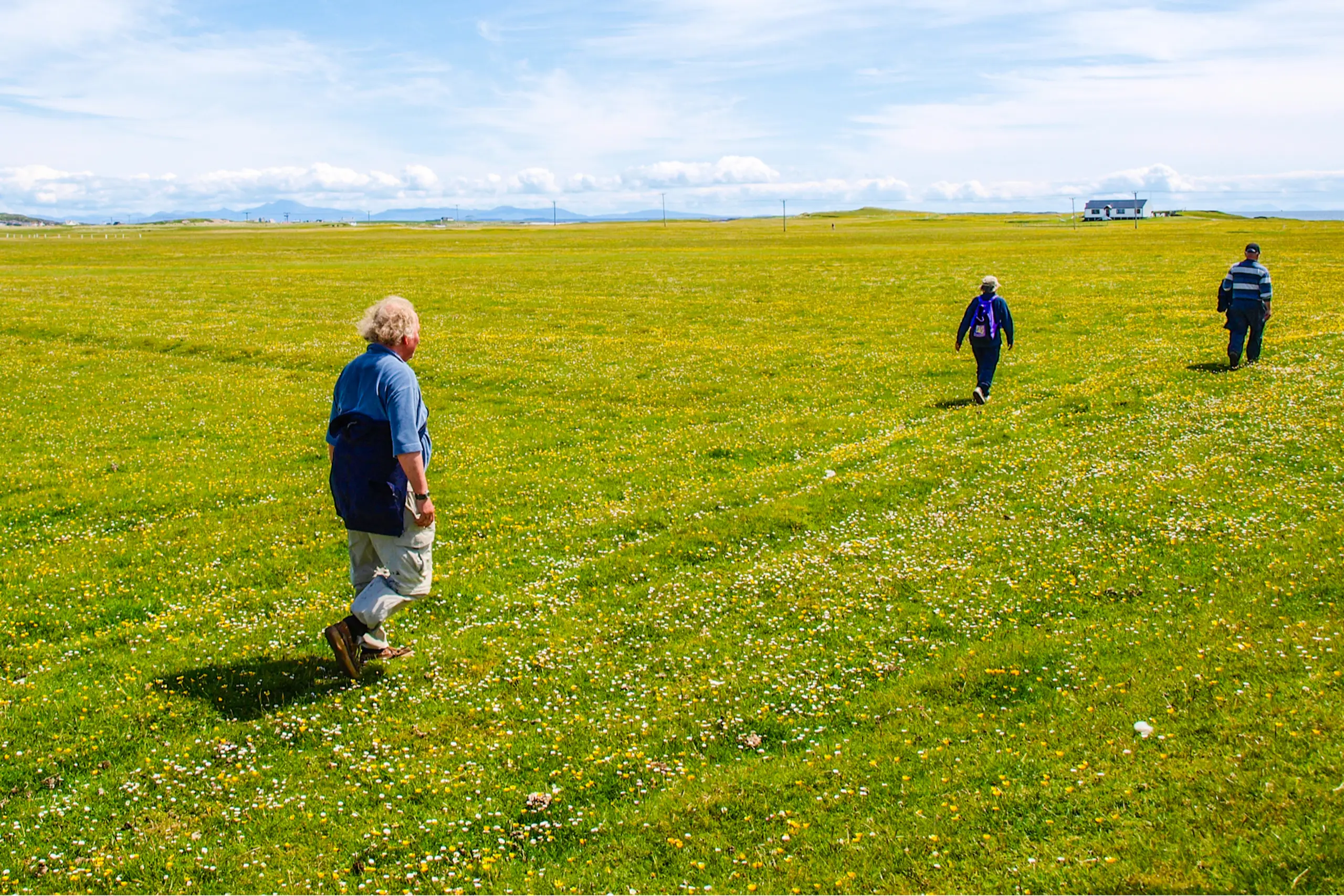 Walking through meadows