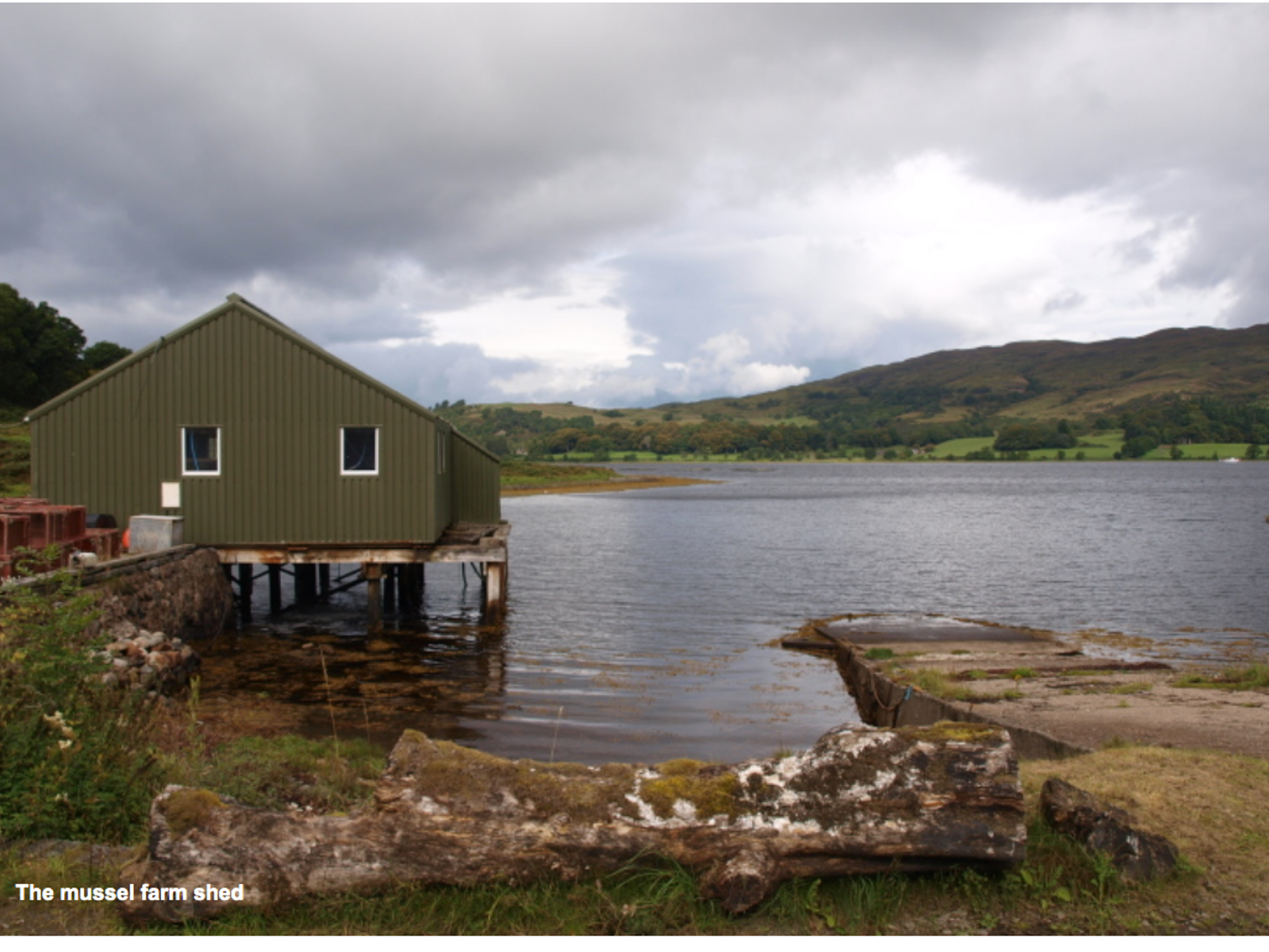 Looking down the loch