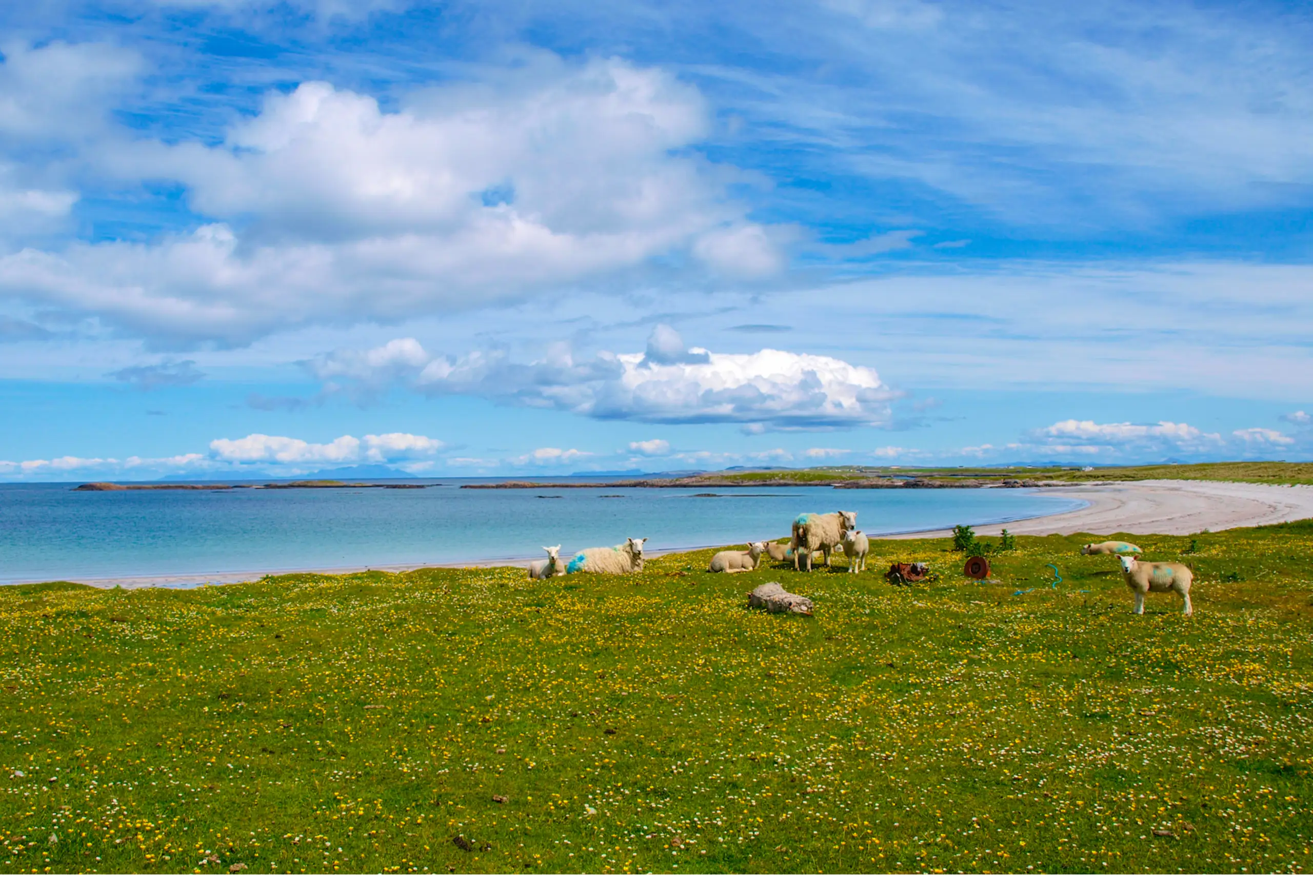 A very typical Tiree landscape