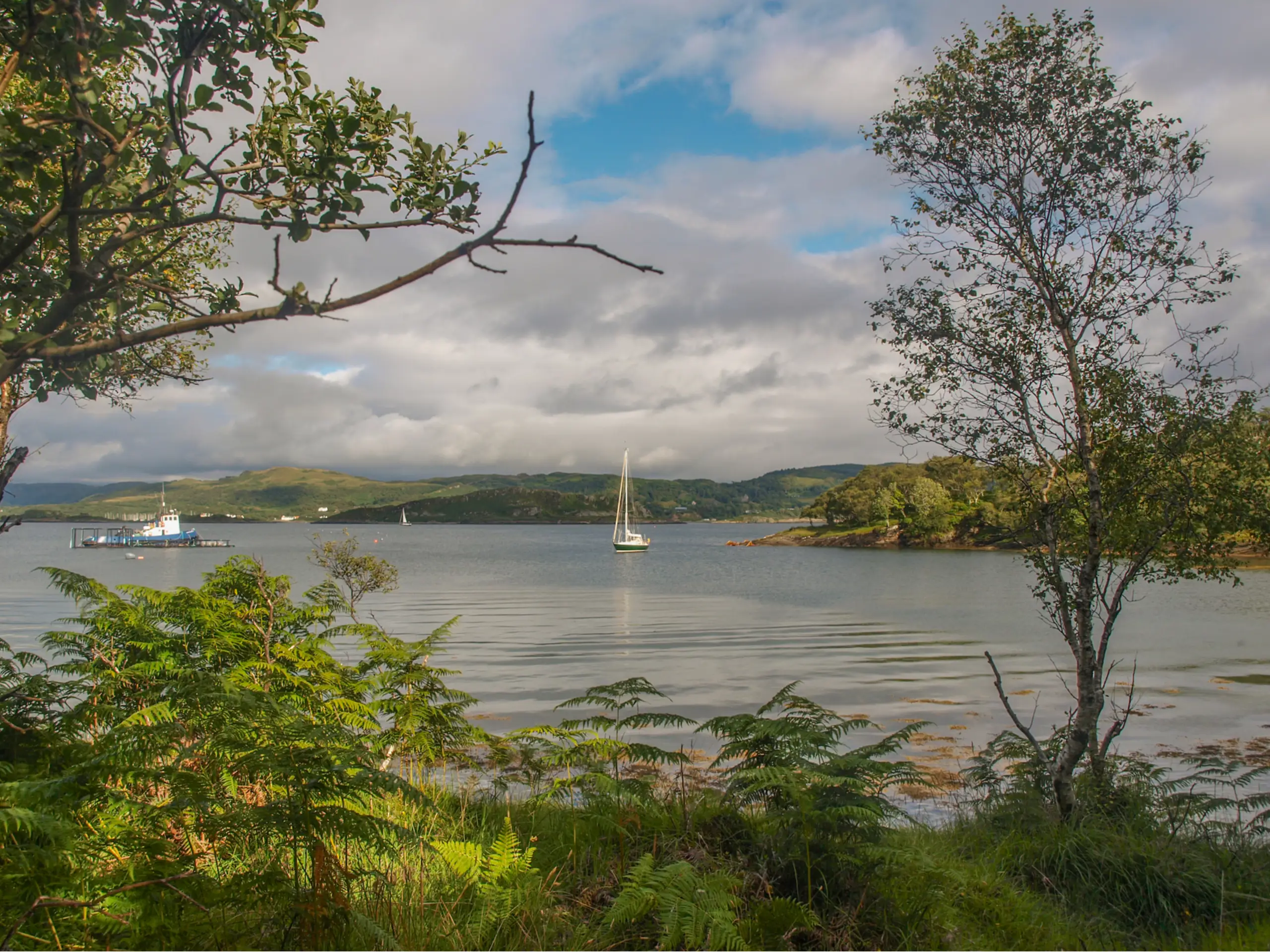 Looking across to Craobh