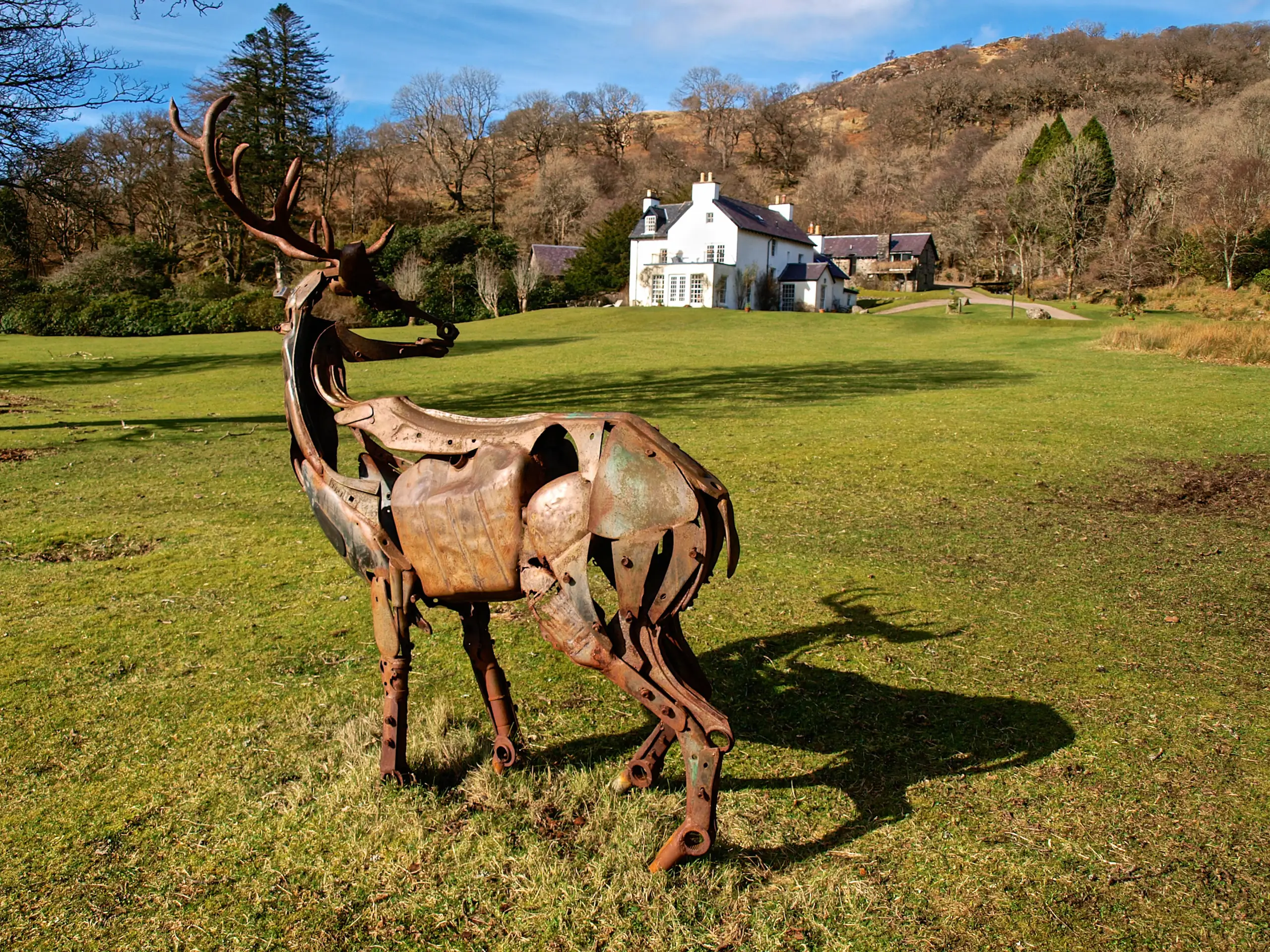 The stag and Rahoy House
