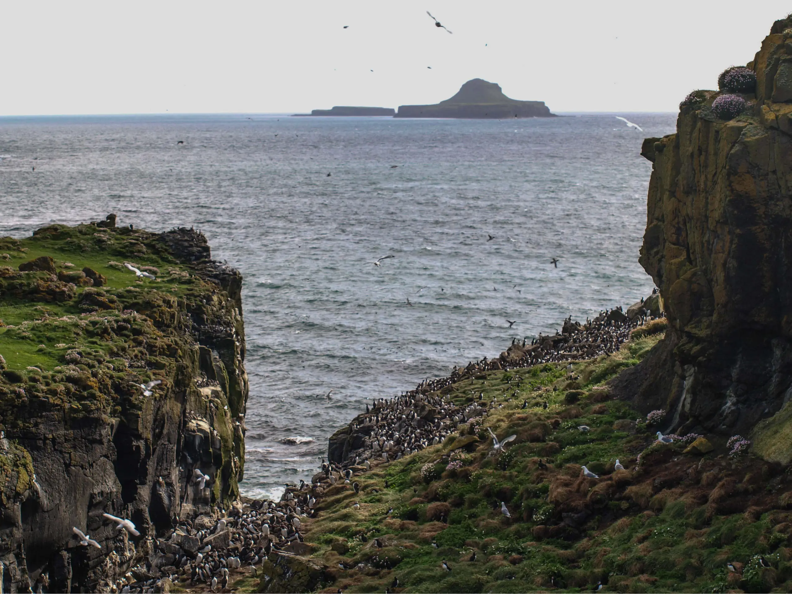 The Dutchman's Cap from the Harp Rock