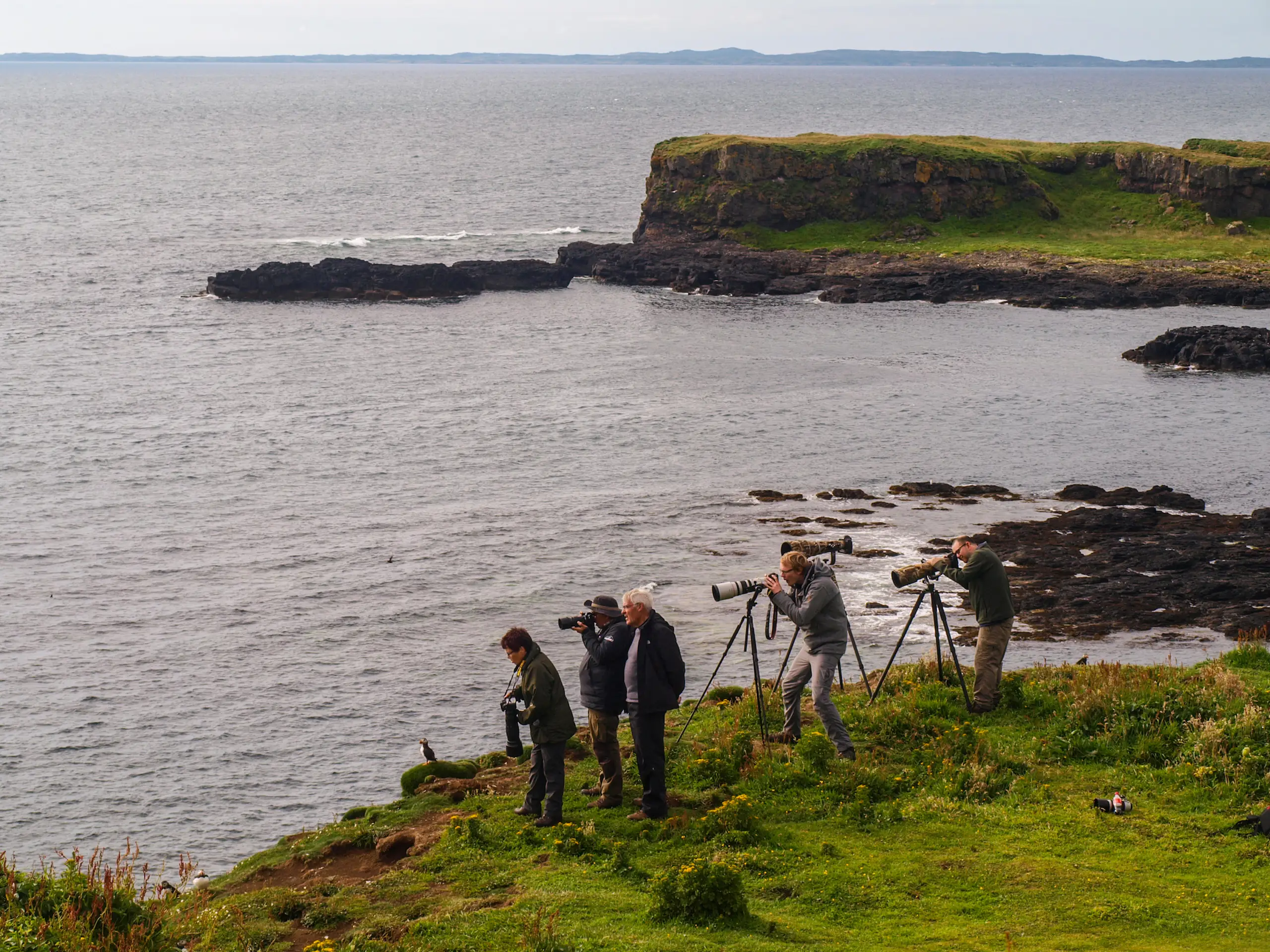 And so many birders too